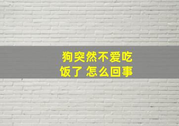 狗突然不爱吃饭了 怎么回事